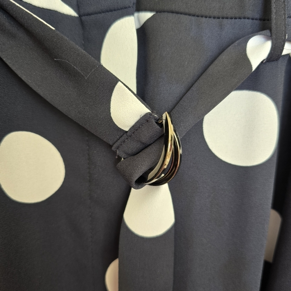 Banana Republic Navy Blue and White Polka Dot Sleeveless Maxi Dress - Picture 3 of 3